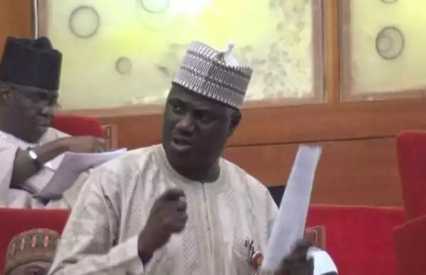Those involved in unwholesome food processing and drugs would face punitive measures – Senate Spokesman